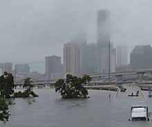 Tempête Harvey&nbsp;: «&nbsp;La catastrophe n’était pas inattendue&nbsp;»